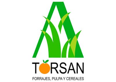 TORSAN CJN, S.L.
