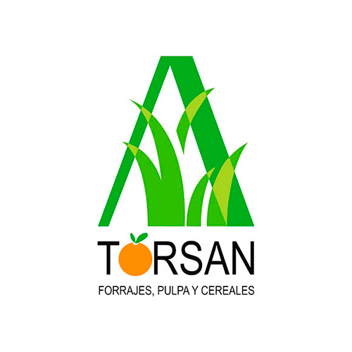 torsan-nuevo