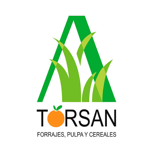 TORSAN CJN, S.L.