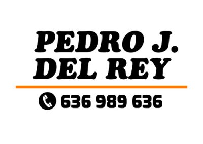 Pedro José del Rey Tolosa
