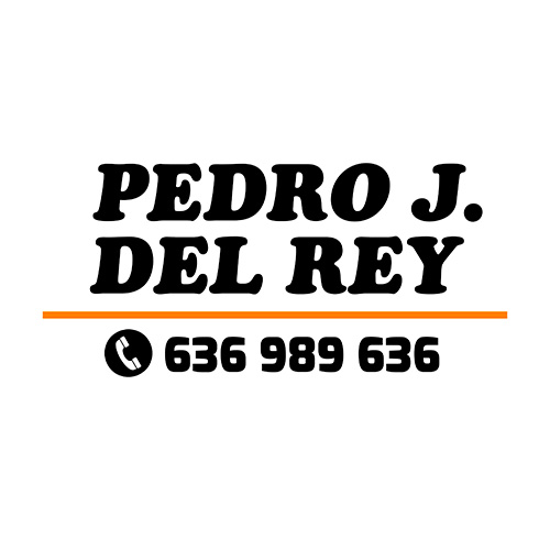 Pedro José del Rey Tolosa